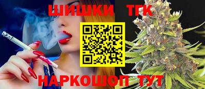 СК Дубна