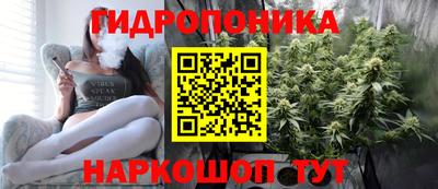стафф Донской