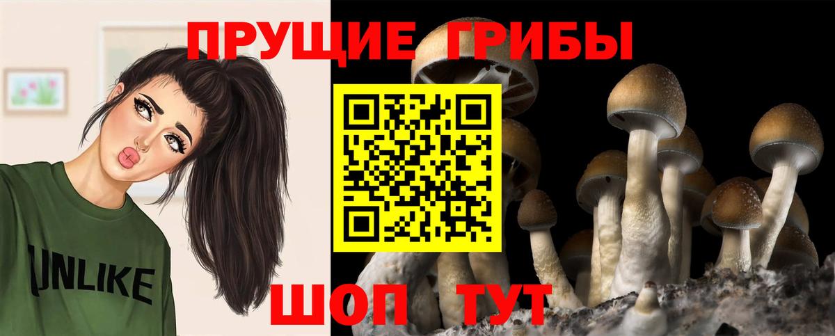 Галлюциногенные грибы Magic Shrooms Магнитогорск